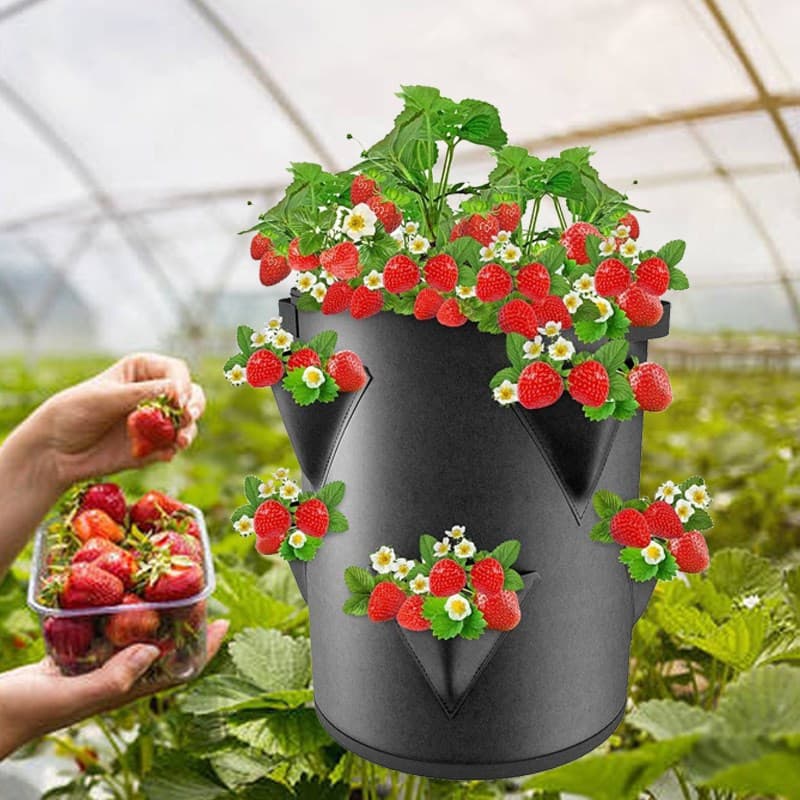 Felt Strawberry Planting Tub with Opening, Grow Bag for Garden Vegetables, Nutrient Plant Nursery Bag, Flower Pot for Balcony Vegetable Garden