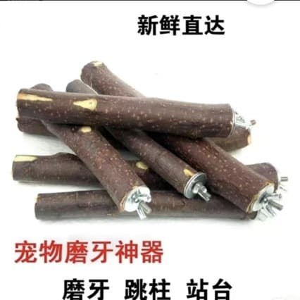 Cross-border apple wood bird stand parrot claw grinding stick wooden bird perch bird supplies toys wholesale stand