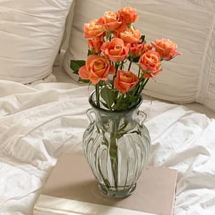 Garden Double-Ear Transparent Glass Vase for Flower Arrangement, Premium Light Luxury, Belly Vase for Hydroponics Creative Decoration