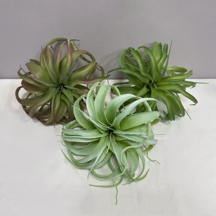 Air Plants Desert Greenery Landscaping Old Man's Beard Simulated Pineapple Window Display Succulent Arrangement Scene Placement