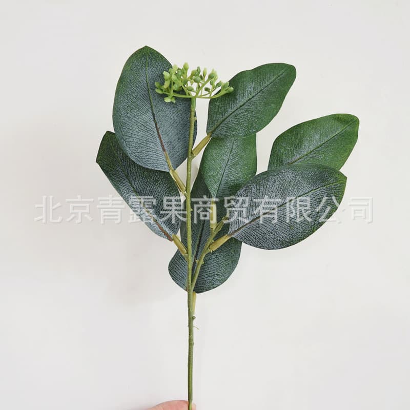 Simulated eucalyptus with fruit single fake plant flower arrangement decoration diy eucalyptus leaves artificial money leaves cross-border