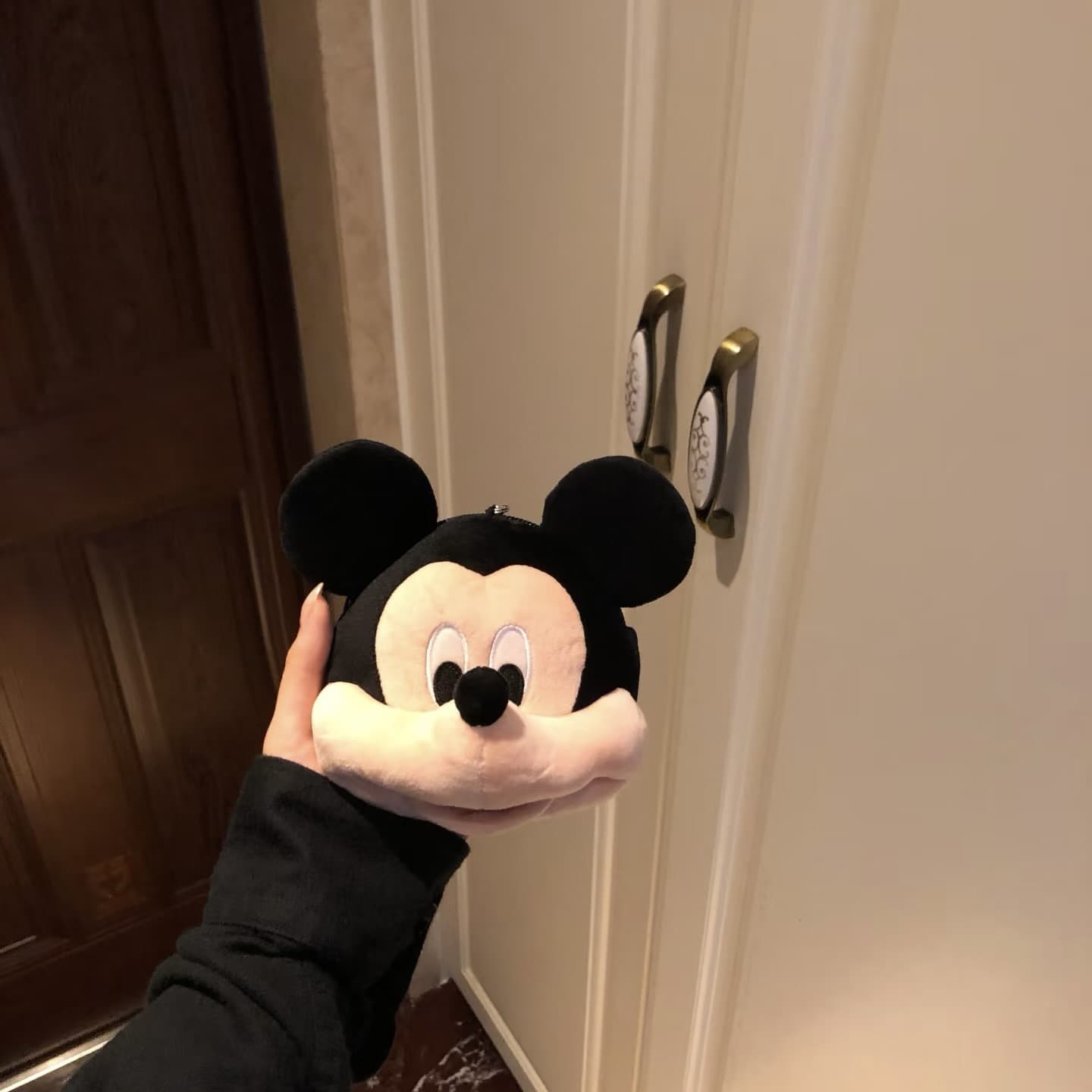 Cute Mickey Plush Coin Purse, Large Capacity Cartoon Pendant Earphone Bag, Storage Bag, ID Bag, Card Holder for Girls
