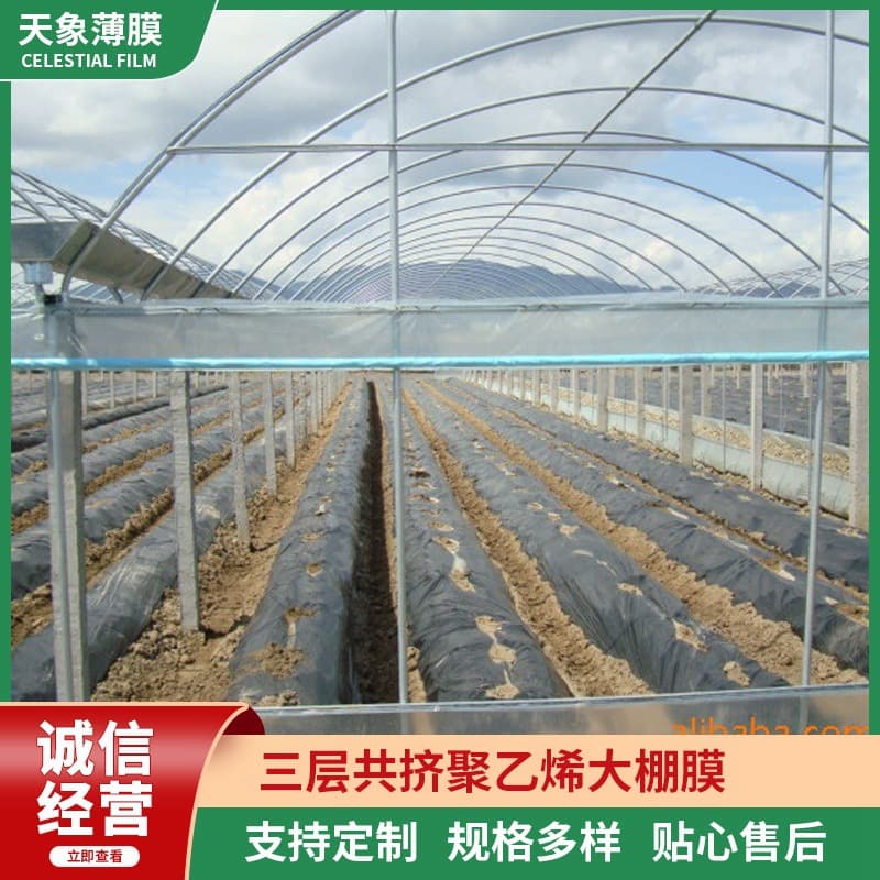Three-Layer Co-extruded Polyethylene Dual-Protection Greenhouse Film, Agricultural White Film, Waterproof Plastic Sheeting, Insulating Film Paper