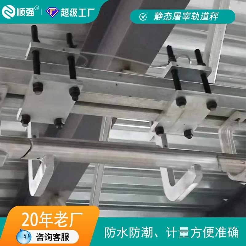 Static Slaughter Rail Electronic Scale, Rail Assembly Line Hook, Livestock (Pigs, Cattle, Sheep) Suspended Rail Static Commercial Waterproof and Moisture-proof