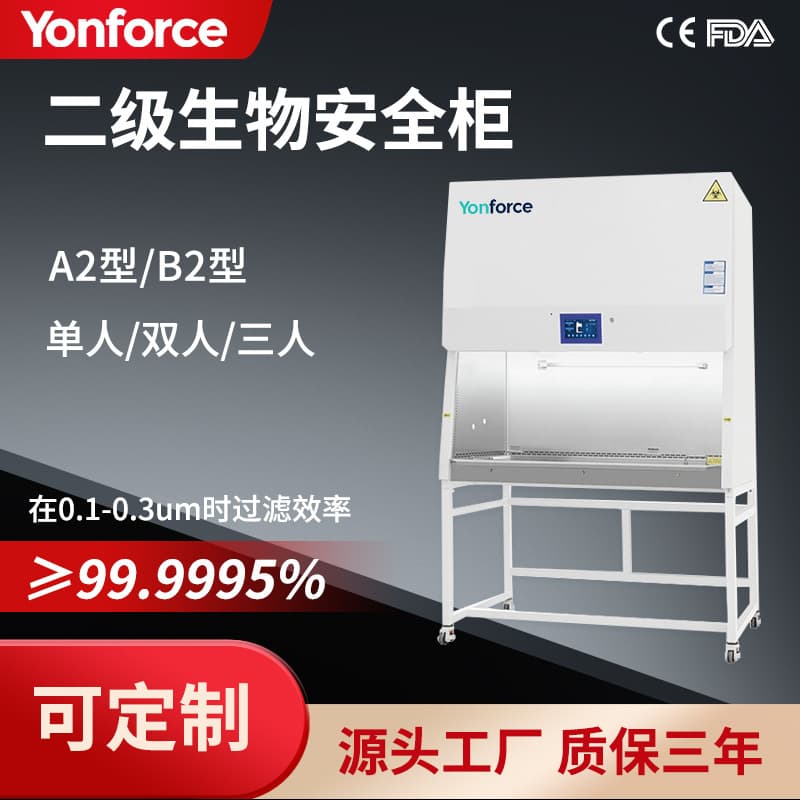 Secondary Biosafety Cabinet - Shenglan Biology (Shandong) Co., Ltd. Supports Customization