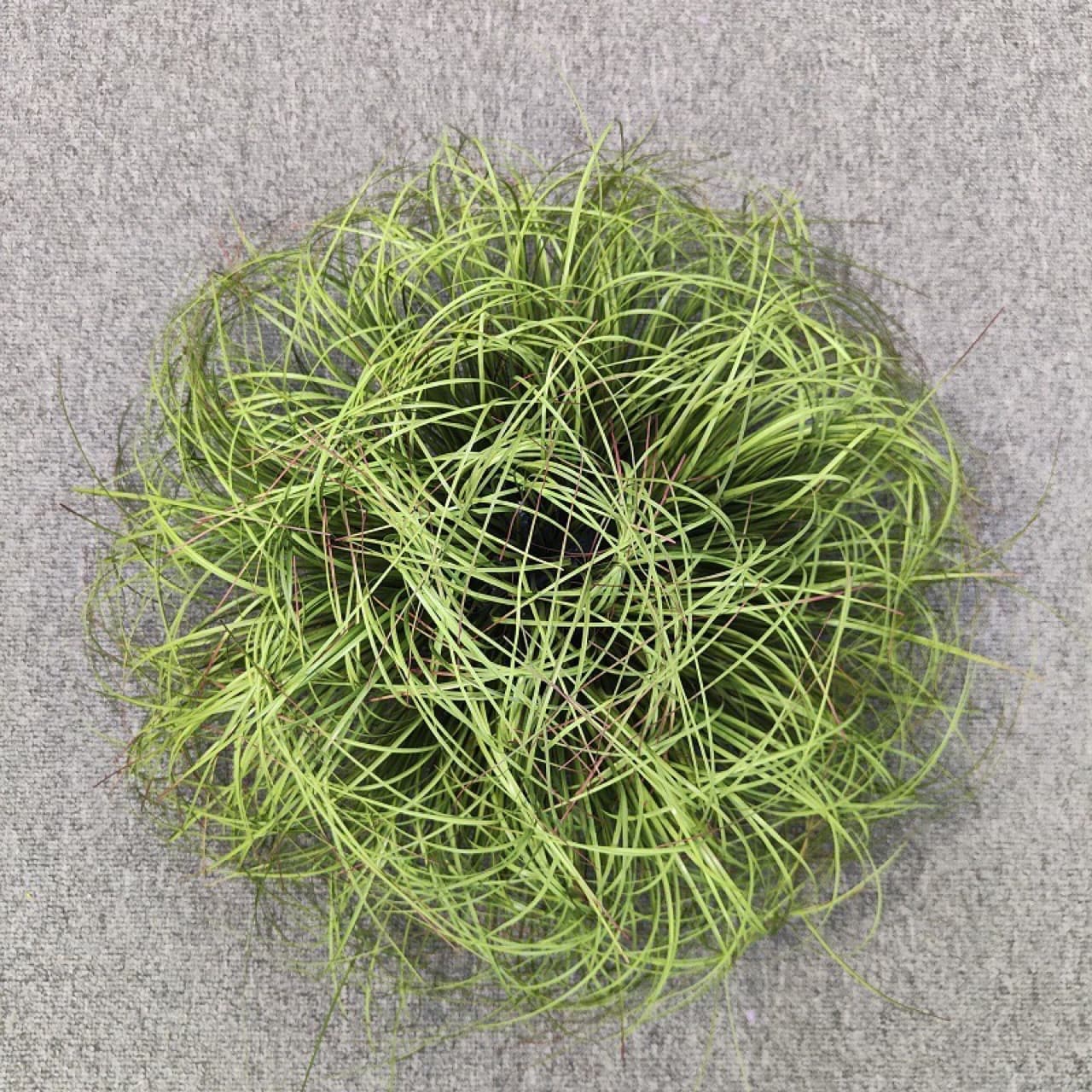 Wholesale Grass Design Landscaping Artificial Fake Plant Grass Clumps Grass Piles Reeds Weeds Plastic Grass Grass Bundles Miscanthus