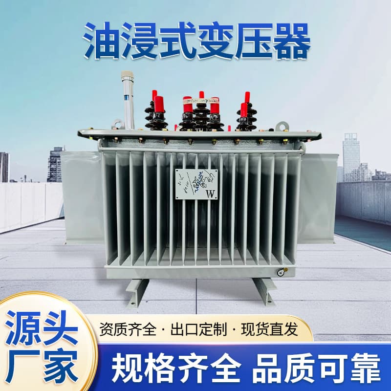 Source Manufacturer 250kVA Oil-Immersed Power Transformer Multiple Specifications Oil-Immersed Transformer Wholesale in Stock