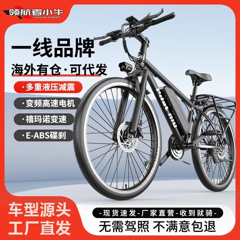 Factory Electric Power-Assisted Bicycle 26-inch Electric Bike Overseas Warehouse E-bike Off-road Dual-Speed Electric Vehicle