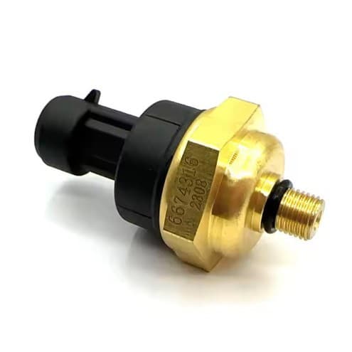 For Dongfeng/BMW automotive oil pressure sensor 6674316 auto parts