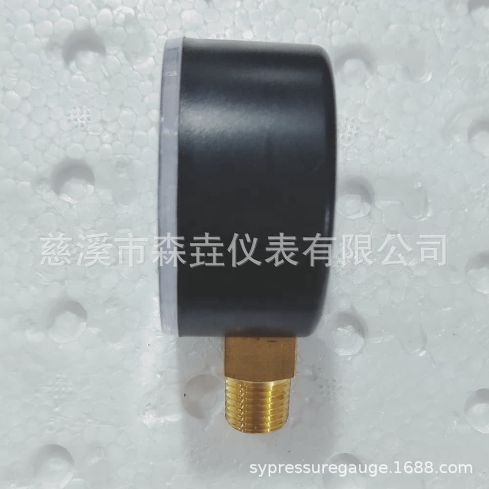 Cixi Source Factory Y50 Radial Plastic Case Pressure Gauge 0-3BAR/PSI 1/4BSPT British Standard Taper Thread