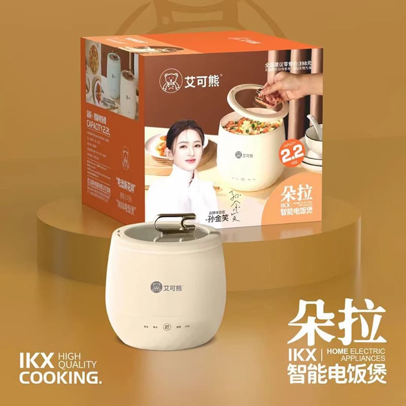 Aikexiong Rice Cooker Multi-functional Electric Pot for Two, Mini Cooking Pot for Home and Dormitory Use