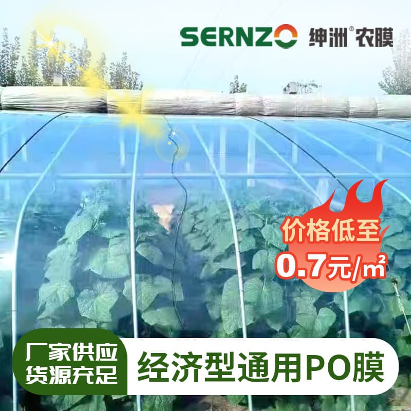 Factory Universal Greenhouse PO Film Economical Vegetable Greenhouse PE Film High Light Transmission Anti-Fog Film