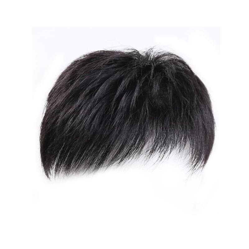 Short Straight Hair Wig For Men Women Personal Care Home Cleaning Synthetic Hair Replacement Natural Look Feel