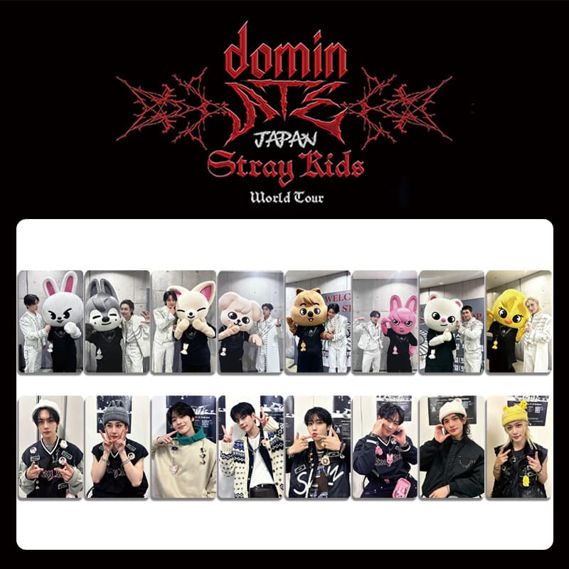 Stray Kids Japan Tour dominATE JAPAN Blu-ray DVD Special Photocard