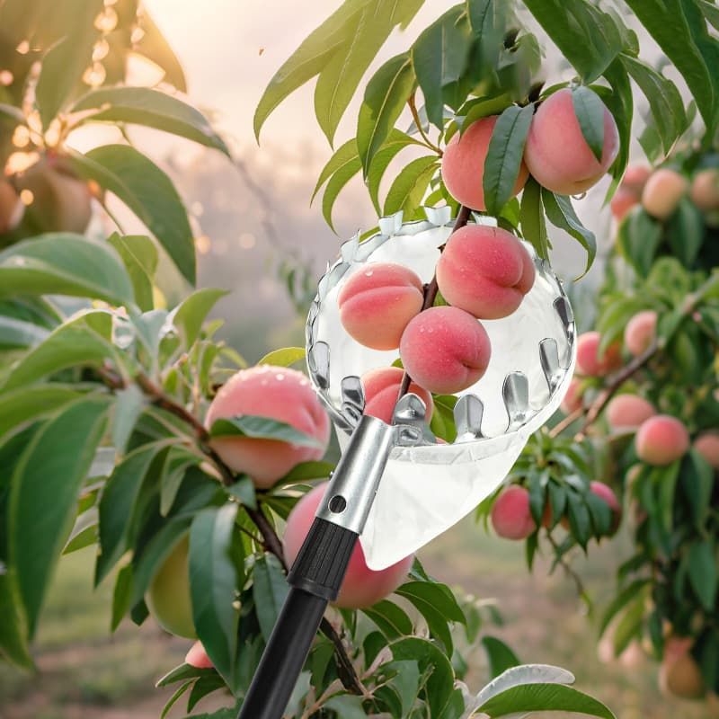 Cross-border cloth bag style fruit picker telescopic splicing pole plum, persimmon, loquat, and bayberry fruit picker, aerial harvester