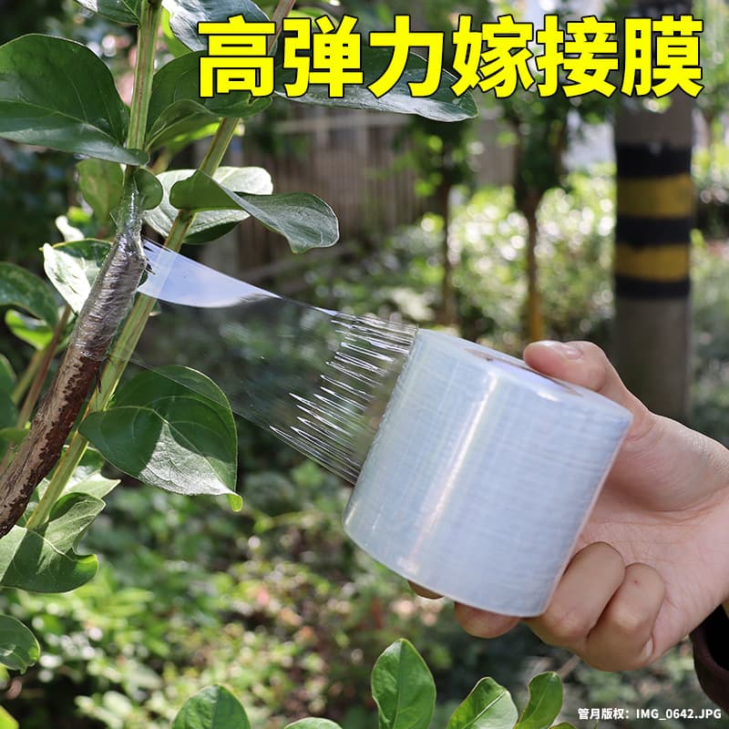 Small roll PE stretch film 5cm industrial packaging film 6cm take-out plastic wrap packaging box sealing grafting film packaging film