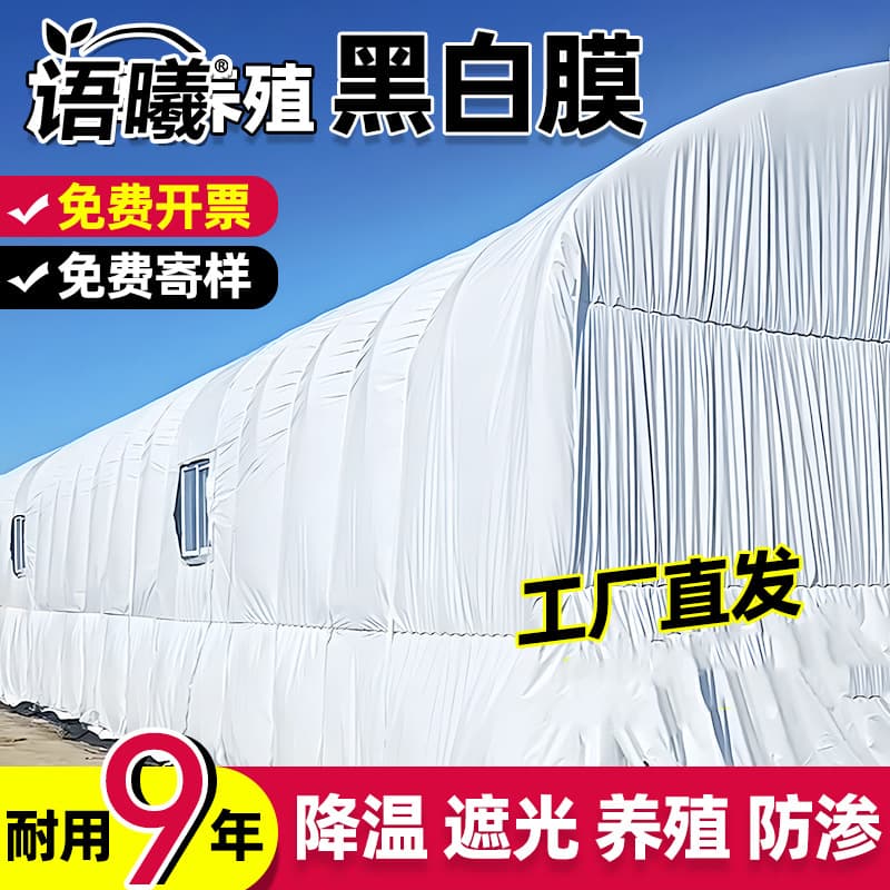 Imported Black and White Film Thickened Breeding Greenhouse Black and White Film Reflective Insulation Film Sunshade Plastic Sheeting Edible Fungus Film