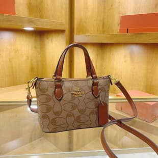 French Style Premium Women's Handbag 2026 Printed Small Tote Versatile Shoulder Crossbody Bag Trendy