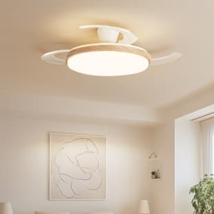 Fan Light, Dining Room Ceiling Fan, Bedroom Electric Fan Light, Living Room Home Integrated Ceiling Light, Invisible Variable Frequency Ceiling Fan Light