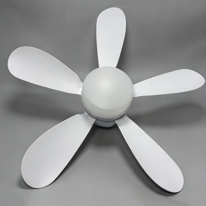 Cross-border E27 Screw Base Five-Blade Ceiling Fan Light, Silent for Living Room, Dining Room, Bedroom, EU CE Certified Silent Fan Light