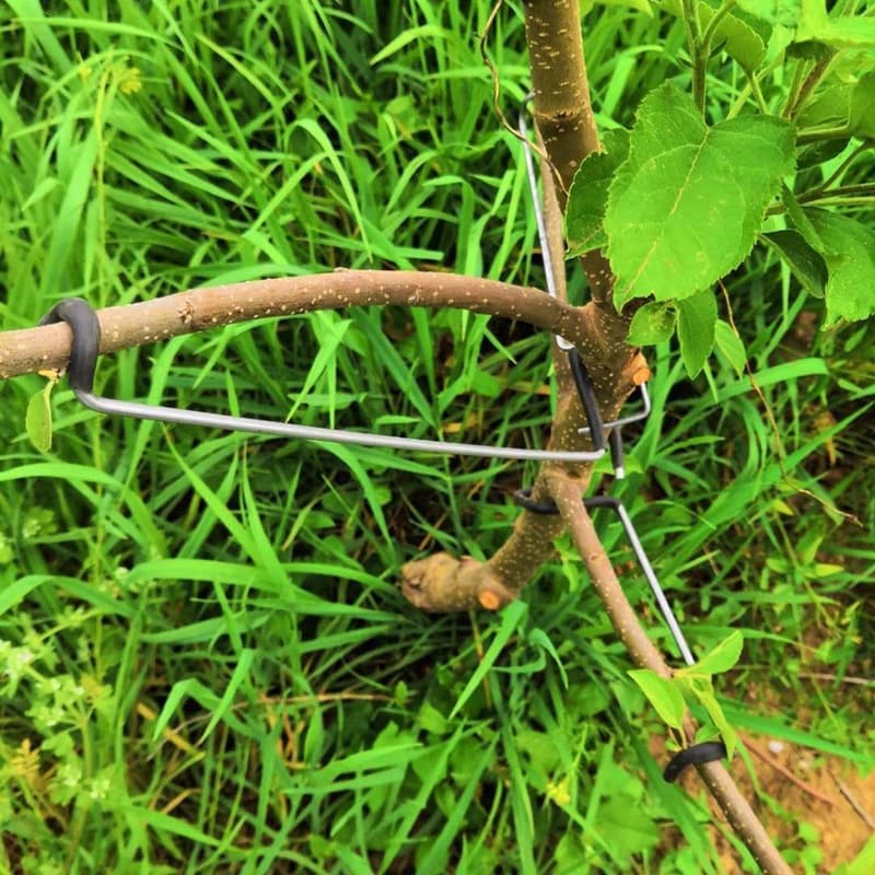 Branch Bender for Shaping, Branch Spreading, and Angle Fixing - Gardening Tool for Apple and Cherry Trees, Fruit Tree Specific, Bonsai