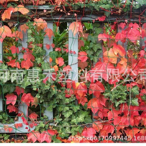 One-item Drop Shipping Garden Trellis Net for Passion Fruit, Grapes, Melon Vines, Flowers, Nylon Net, and Bean Net