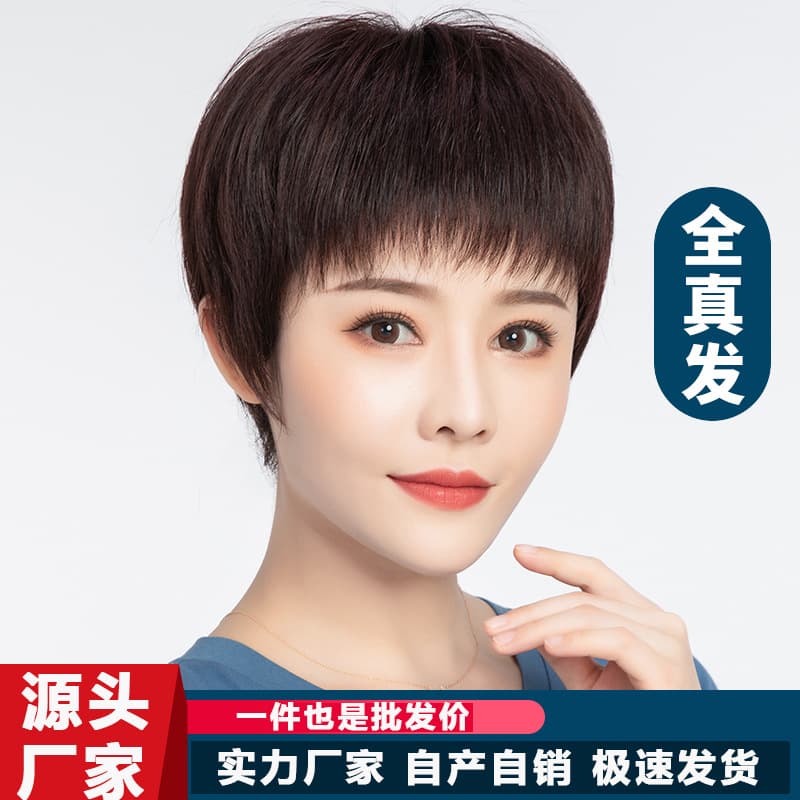 Short Real Hair Wig for Women, Natural Full Head Wig, Real Hair Wig for Middle-aged and Elderly Ladies, Summer Style