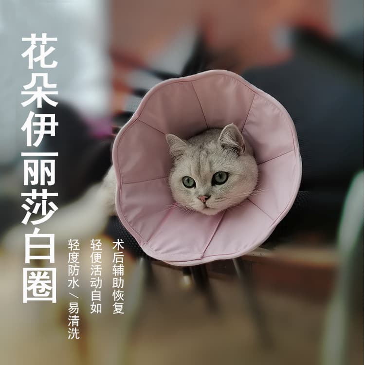 Elizabethan Collar EVA Cat Post-Surgery Anti-Lick Wound Protection Anti-Bite Soft Head Cone Dog Neck Collar Pet Supplies