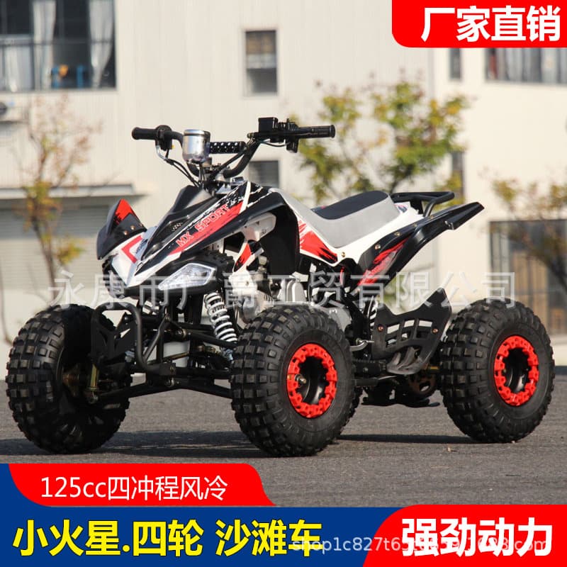 Dingzun Small Mars Four-Wheel Sand Buggy 125cc Off-Road Motorcycle Gasoline Adult All-Terrain Vehicle Electric Mountain Field