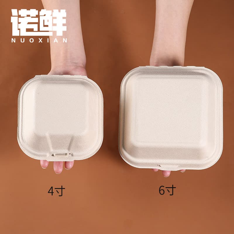 Customizable eco-friendly biodegradable disposable pulp burger boxes (4/6 inch) with printing support, food-grade