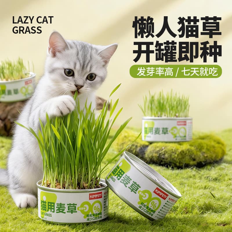 New Pet Cat Grass Planting Kit Hydroponic Lazy Cat Grass Box Cat Hairball Relief Digestive Aid Cat Snack Wholesale
