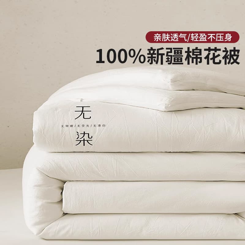 Minimalist Xinjiang Cotton Quilt Winter Quilt Cotton Quilt Winter Extra Warmth Quilt Core Single Spring/Autumn Quilt All Seasons Universal