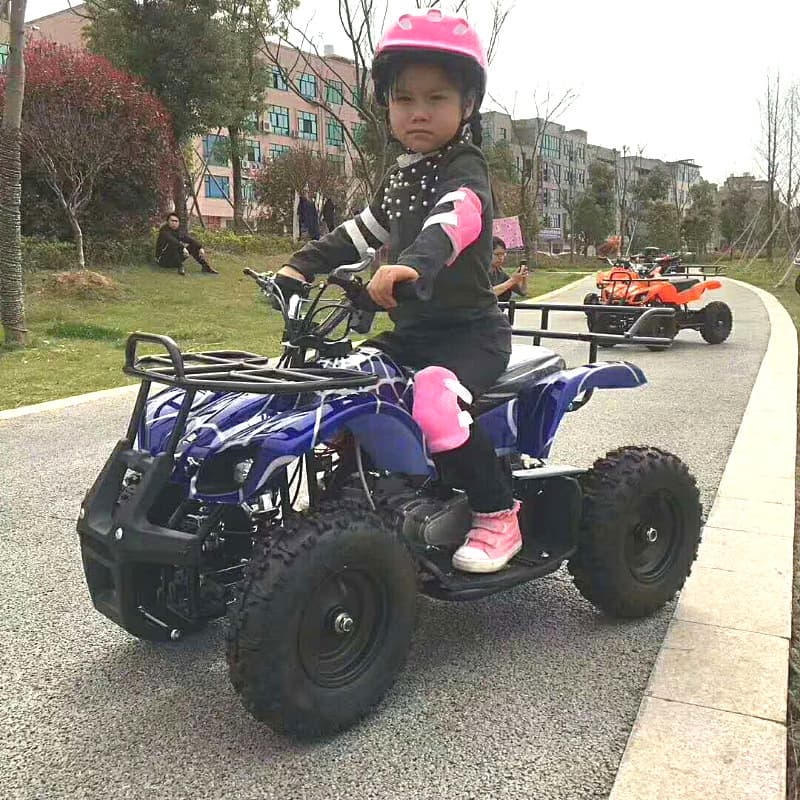 Little Bull 49CC Sand Cart Mini 2-Stroke 4-Wheel ATV Off-Road Vehicle Gas/Electric Mountain Bike