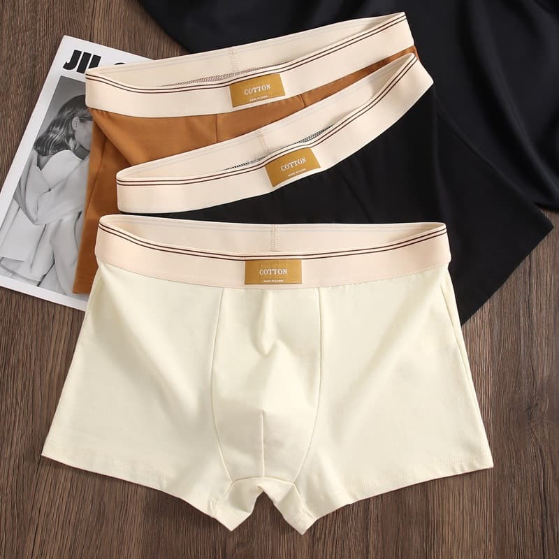 Men's Boxer Briefs Teen Boys Breathable Shorts Summer Underwear