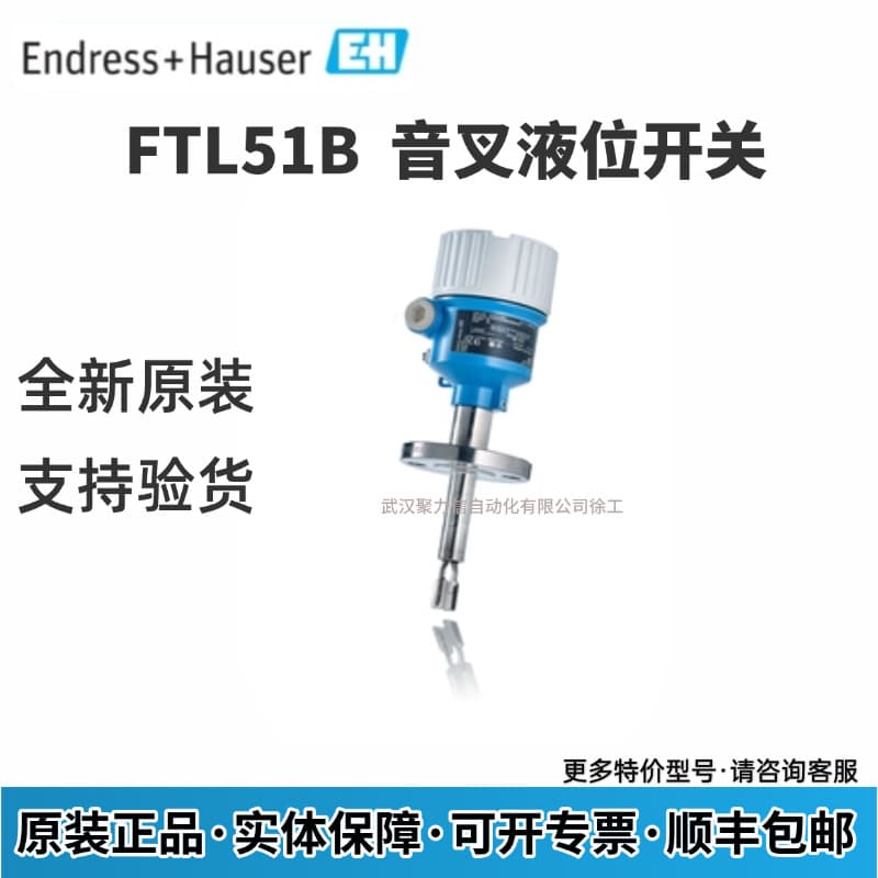 E+H Endress+Hauser Tuning Fork Level Switch FTL51B-NRA4ABIAA1AJA1VCJ