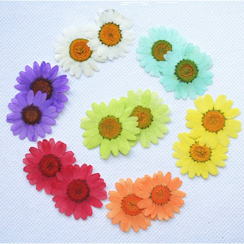 Dried Real Flower Everlasting Flower Pressed Flower Epoxy Resin Jewelry Accessories Parts Sunflower Pressed Flower Chrysanthemum 25-35mm DIY Material Kit