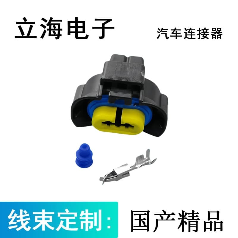 240PC23S4019 is suitable for automotive H8/H9 connector automotive fog light plug DJ70238Y-2.8-21