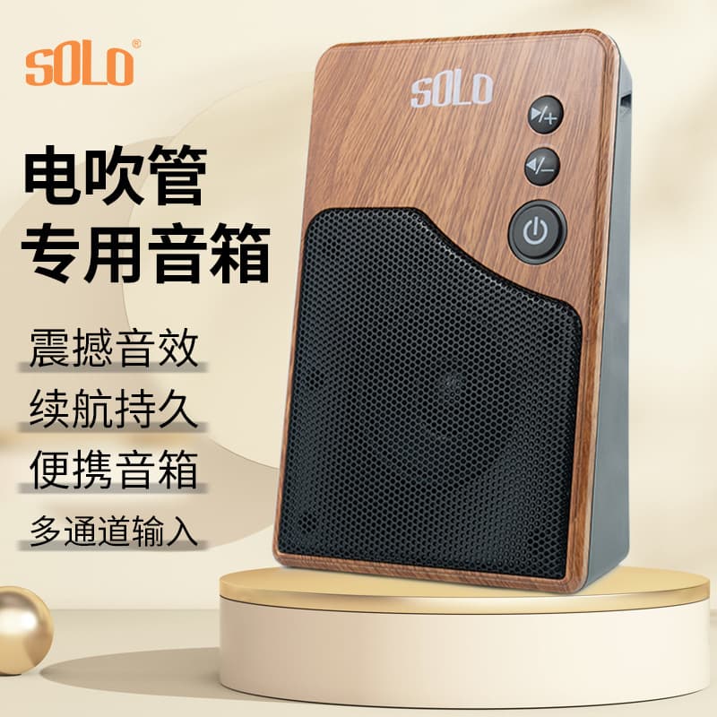 Electric blowpipe speaker dedicated wireless Bluetooth home outdoor K music your portable plug-in U disk saxophone audio
