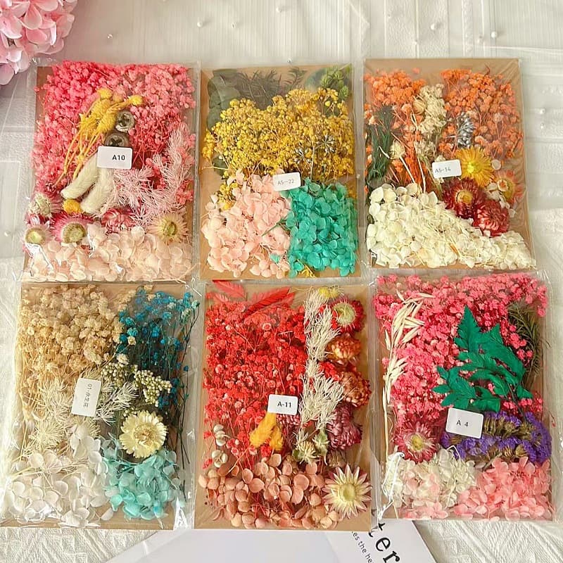 Mixed Dried Flowers DIY Handmade Candle Plaster Real Flowers Preserved Flowers Multi-Color Activity Material Kit for Team Building