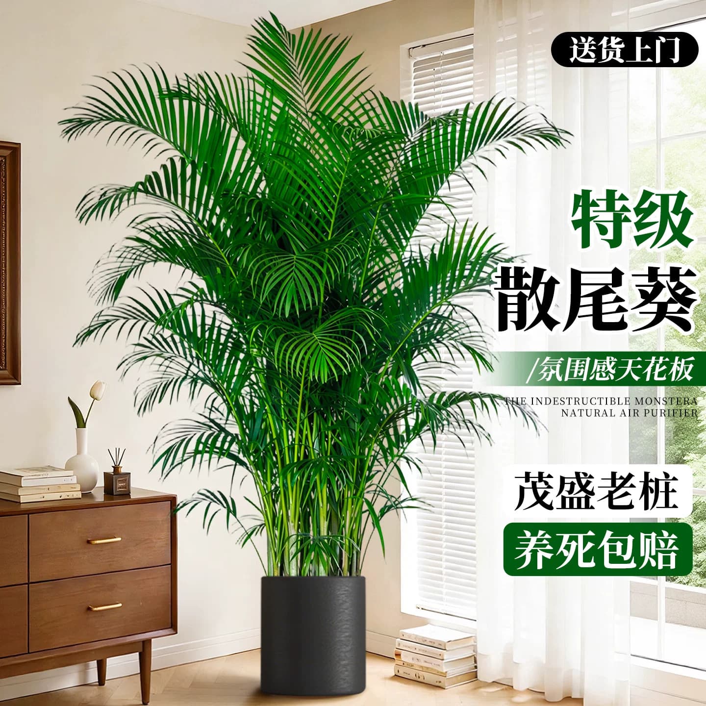 Sago Palm Living Room Green Plant with a High-End Feel, Large Indoor Potted Plant, Light Luxury Plant for Office, High-End and Easy to Maintain
