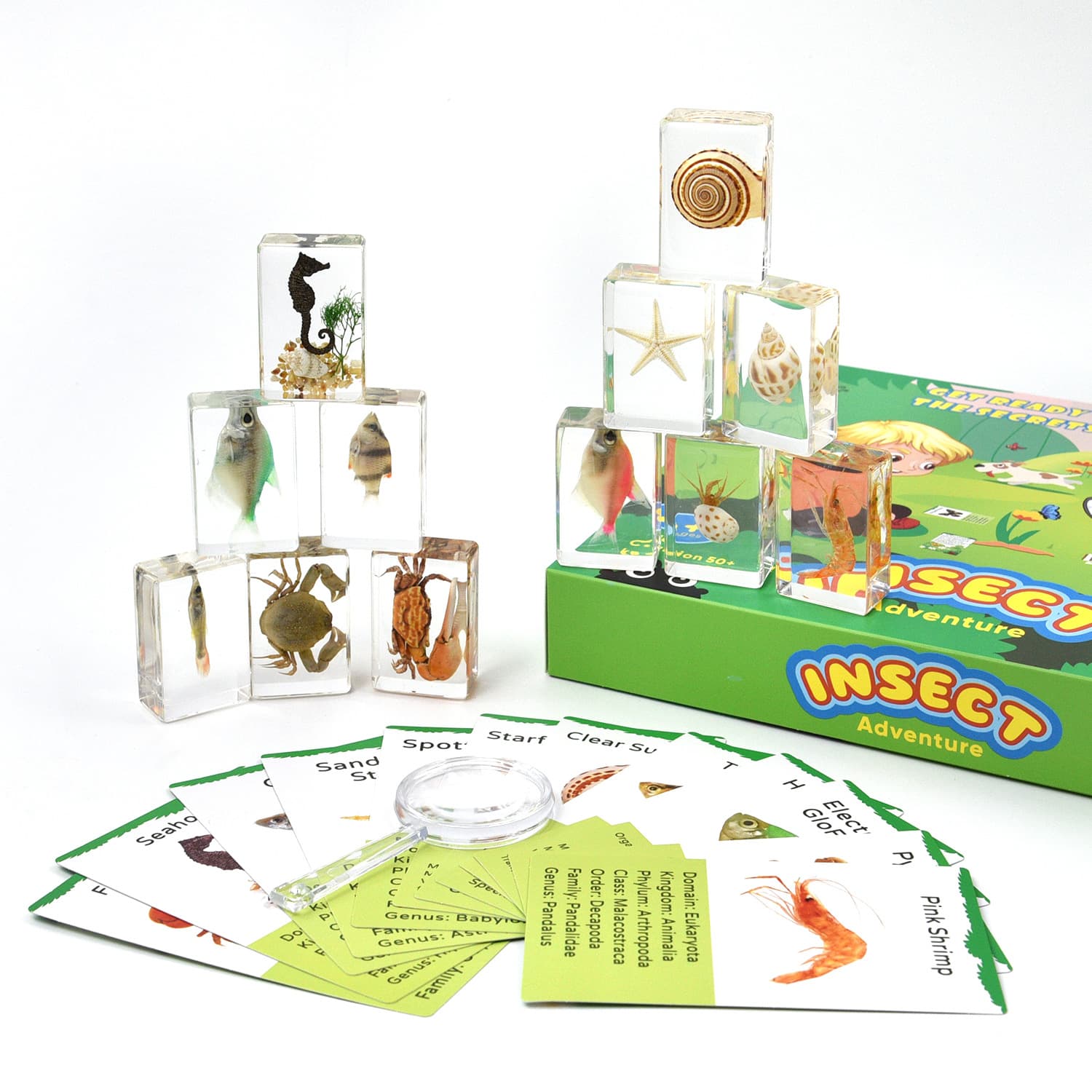 Cross-border Hot Sale Wholesale Insect Amber Specimens Resin Crafts Children's Educational Toys Cultural Creative Gifts Collection Ornaments