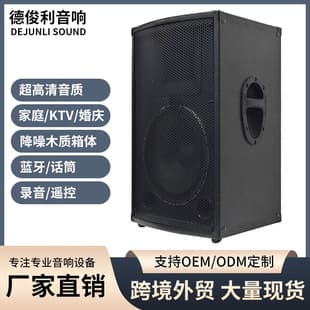 Custom Professional Stage Speaker with Heavy Bass, Single 12-inch for Singing, Bar, and Party, High Power