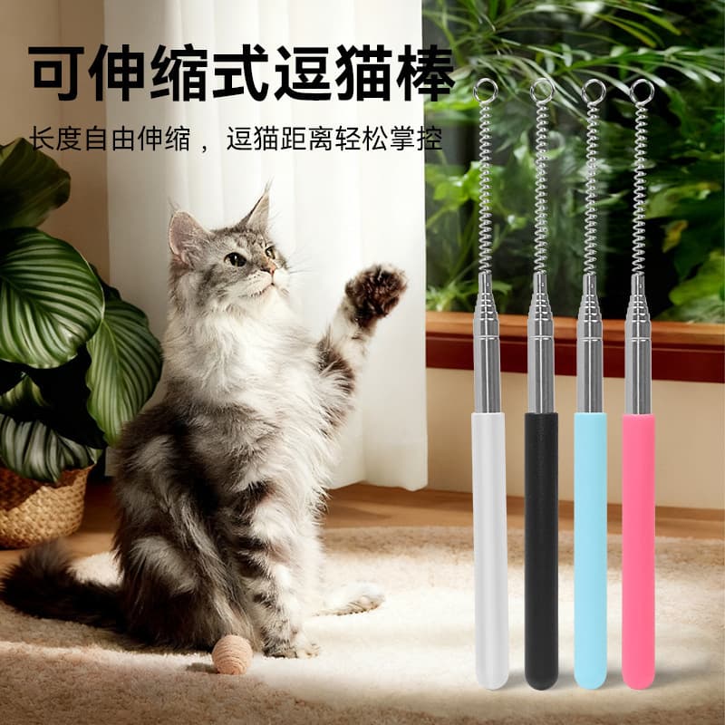 Pet Cat Teaser Wand, Stainless Steel Retractable Interactive Cat Toy Spring, Interchangeable Head, Scratching