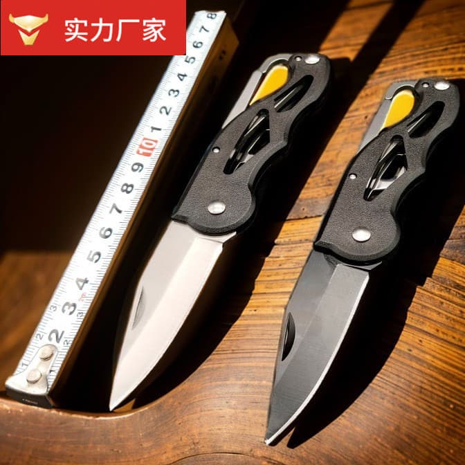 Folding Knife Stainless Steel Portable Small Pocket Knife with Keychain Outdoor Knife Camping Tool EDC Fruit Folding