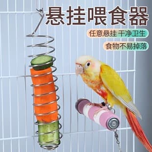 Pet Feeding Tool for Parrots, Cockatiels, Budgies, Small Bird Fruit Fork, Vegetable Apple Bird Feeder, Hanging Feeding