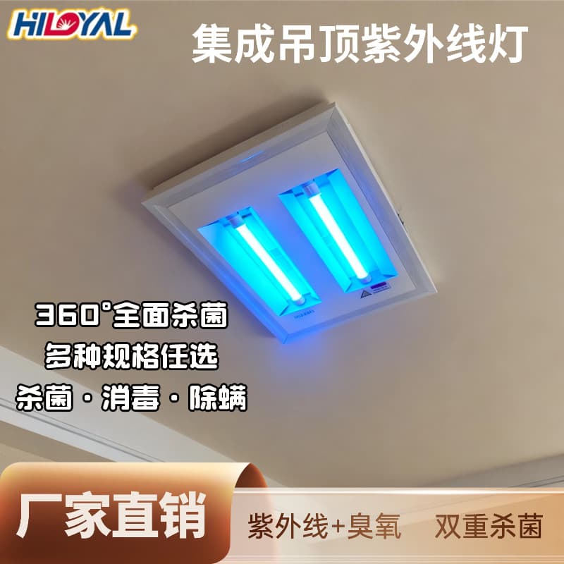 Recessed Ultraviolet Disinfection Ceiling Mount Integrated Ceiling Ozone Germicidal Lamp Special for Bathroom Office