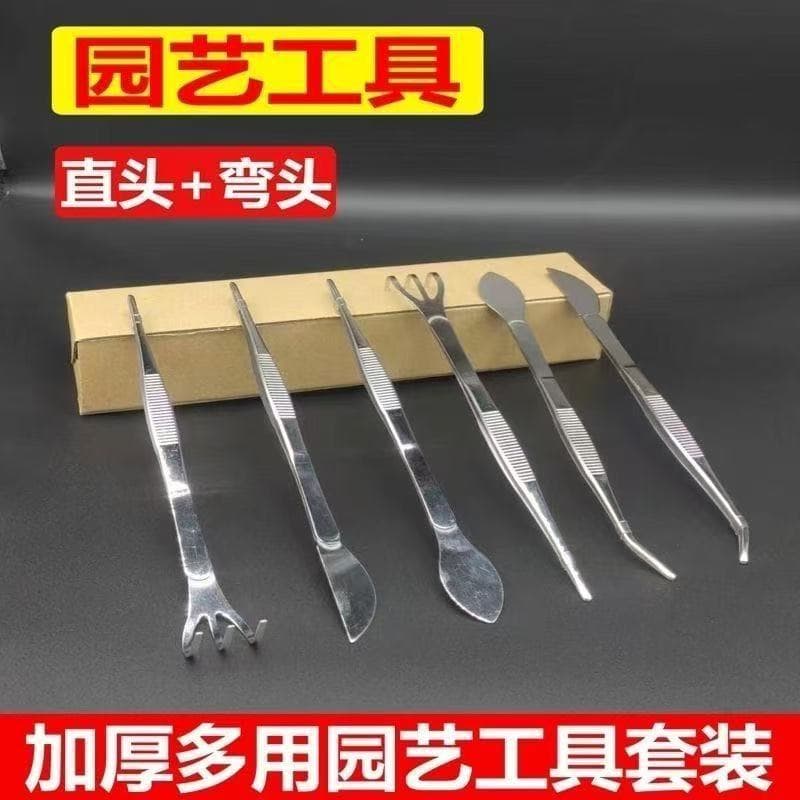 Tweezer and Rake 2-in-1, Thickened Stainless Steel, Gardening Bonsai Tool for Loosening Soil, Combing Roots, Removing Buds, Pressing Soil