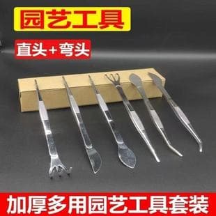 Tweezer and Rake 2-in-1, Thickened Stainless Steel, Gardening Bonsai Tool for Loosening Soil, Combing Roots, Removing Buds, Pressing Soil
