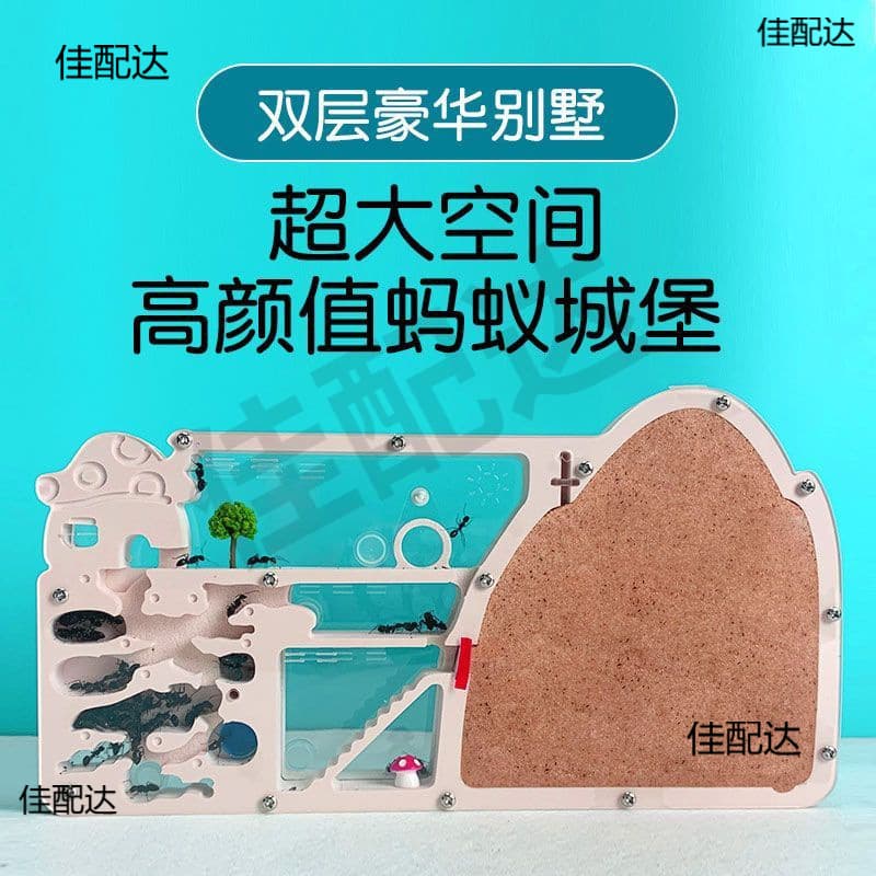 Ant Castle Box Primary School Edition Box Workshop Nest Breeding Kingdom Bowback Ant Nest Pet Expansion Sand Nest