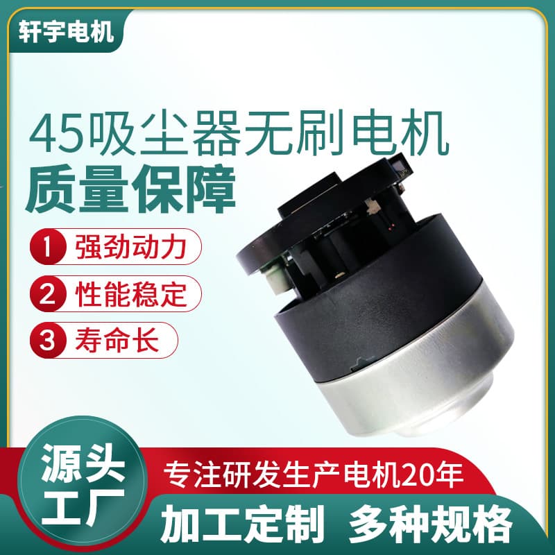 45 Mini Brushless Motor Vacuum Cleaner Electric DC Motor Power Tool High Torque Adjustable Speed Motor